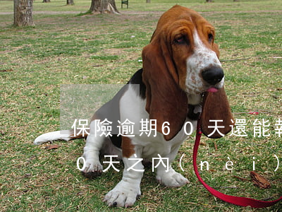 保險逾期60天還能報銷嗎-交保險逾期60天之內(nèi)交不會有問題吧!