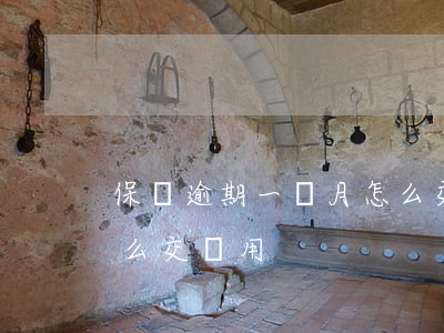 保險逾期一個月怎么交費(保險逾期一個月怎么交費用)