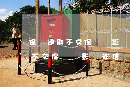 保險逾期不交保費會影響征信嗎-保險逾期不交保費會影響征信嗎知乎