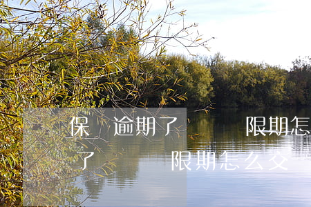 保險逾期了沒過寬限期怎么交費-保險逾期了沒過寬限期怎么交費呢