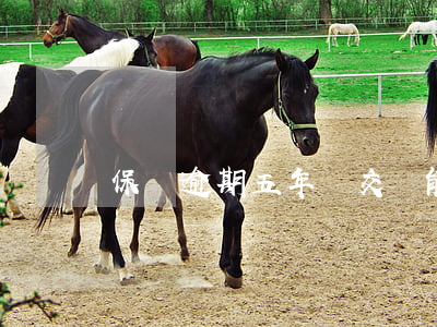 保險逾期五年沒交還能退多少錢-
