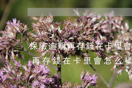 保險逾期再存錢在卡里會怎么樣-保險逾期再存錢在卡里會怎么樣嗎
