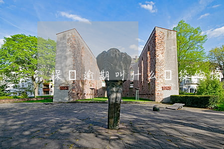 保險逾期叫什么階段的（保險逾期叫什么階段）
