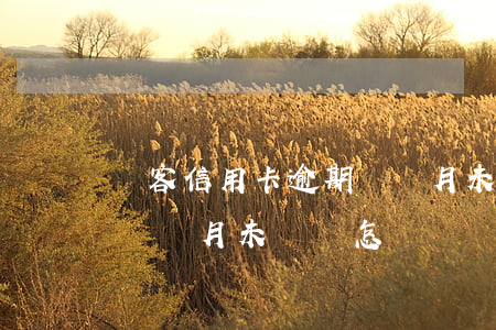 俠客信用卡逾期兩個月未還(俠客信用卡逾期兩個月未還會怎樣)