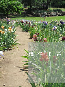 信任卡逾期怎么處理
