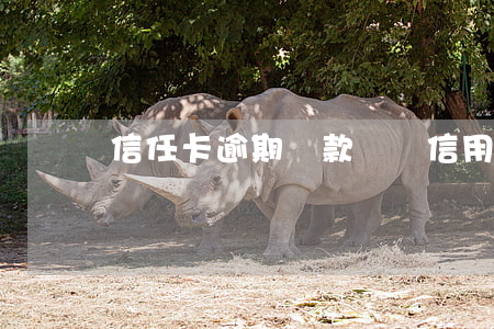 信任卡逾期還款記錄(信用卡逾期怎么處理)