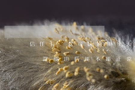 信任卡還款可以逾期幾天(信用卡逾期10天還款成功后能不能正常使用)