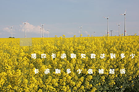 信你卡逾期欠款达到多少会被起诉-欠信用卡逾期多少会被起诉