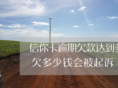 信你卡逾期欠款达到多少会被起诉(欠信用卡欠多少钱会被起诉)