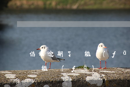 信保逾期了還能發(fā)貨嗎（信保逾期了還能發(fā)貨嗎）