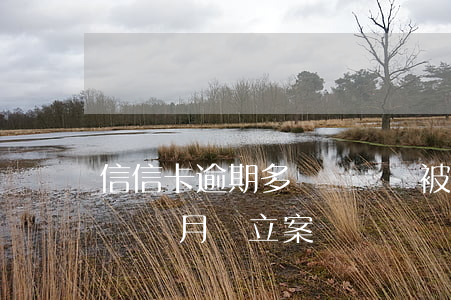 信信卡逾期多長時間會被起訴(欠信用卡逾期幾個月會立案)