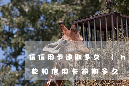 信信用卡逾期多久會(huì)上征信-貸款和信用卡逾期多久會(huì)上征信