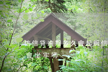 信信貸逾期多久會起訴(信用貸款逾期被起訴會坐牢嗎)