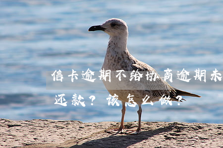 信卡逾期不给协商，逾期未还信用卡，拒绝协商还款？该怎么做？