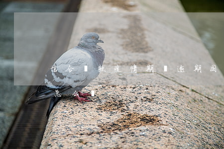 信合貸款疫情期間逾期(因為疫情貸款逾期了怎么辦)
