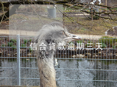 信合貸款逾期三天