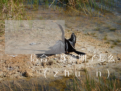 信合貸款逾期了怎么辦(信合貸款逾期了可以轉(zhuǎn)貸嗎)