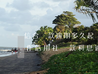 信合貸款逾期多久起訴(農(nóng)村合作信用社貸款利息逾期多久會被起訴)