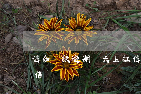信合貸款逾期幾天上征信(信用貸逾期多久征信)