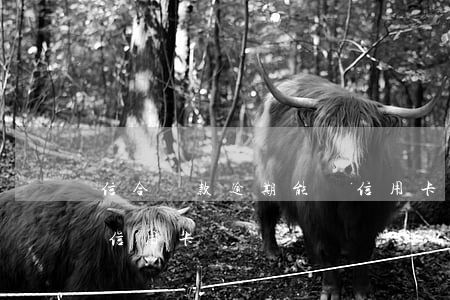 信合貸款逾期能辦信用卡嗎(信用有逾期能辦信用卡嗎)