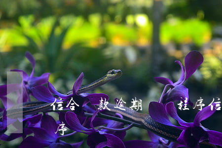 信合貸款逾期訴訟程序(信合貸款逾期訴訟程序)