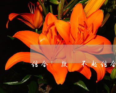 信合貸款還不起 信合貸款逾期