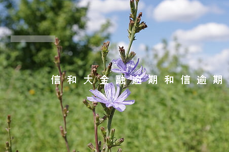 信和大金融逾期(和信逾期兩年了)