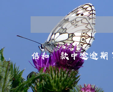 信和貸款中途逾期了半天