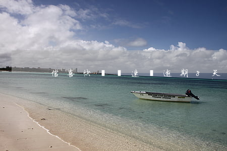 信喜快貸極速貸逾期8天(喜鵲快貸極速貸)