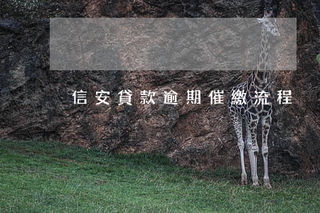 信安貸款逾期催繳流程
