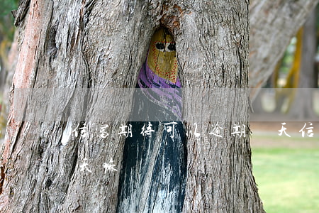信富期待可以逾期幾天(信富期待可以逾期幾天嘛)