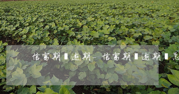 信富期貸逾期-信富期貸逾期會怎么樣