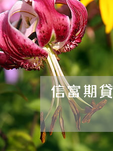 信富期貸逾期全額還款(貸款還款逾期)