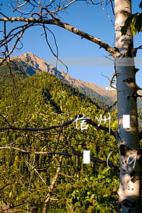 信州區(qū)債務(wù)償還律師(信州區(qū)債務(wù)償還律師事務(wù)所)