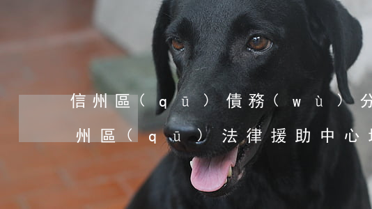 信州區(qū)債務(wù)分割律師-信州區(qū)法律援助中心地址