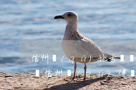 信州區(qū)地方債務(wù)律師-上饒信州區(qū)律師