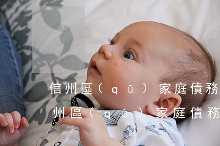 信州區(qū)家庭債務(wù)律師-信州區(qū)家庭債務(wù)律師