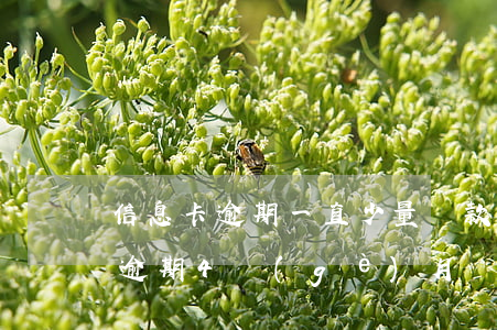 信息卡逾期一直少量還款(信用卡欠款1萬多逾期4個(gè)月)