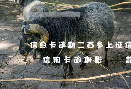 信息卡逾期二百多上征信有啥影響-200塊信用卡逾期影響貸款么
