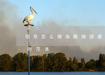 信息怎么做為離婚證據(離婚證據和證據來源的范本)