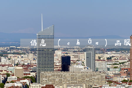 信息產(chǎn)品服務合同