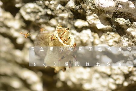信息用卡逾期了怎么辦（信用卡逾期被報(bào)通訊錄怎么辦）