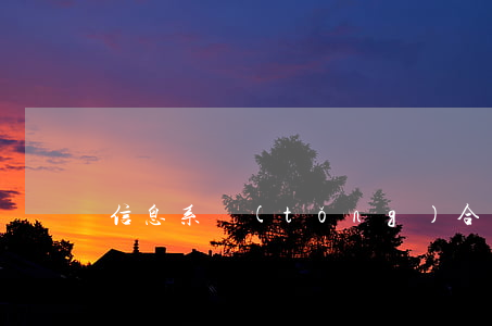信息系統(tǒng)合同