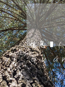 信息網(wǎng)絡(luò)傳播權(quán)保護(hù)條例(信息網(wǎng)絡(luò)傳播權(quán)保護(hù)條例第八條)