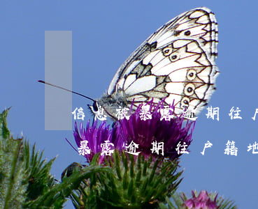 信息被暴露逾期往户籍地发律师函-信息被暴露逾期往户籍地发律师函有用吗