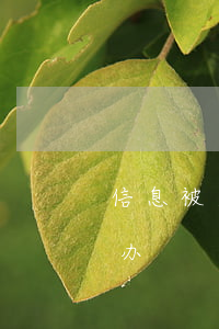 信息被盗用欠网贷(信息被盗了借了网贷怎么办)