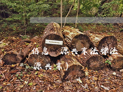 信息資源共享法律法規(guī)(信息資源共享)