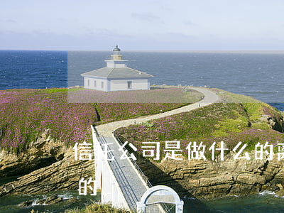 信托公司是做什么的(离岸信托公司是做什么的)