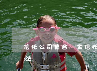 信托公司集合資金信托計(jì)劃管理辦法