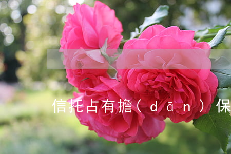 信托占有擔(dān)保制度的概述